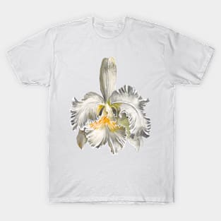 Cattleya White T-Shirt